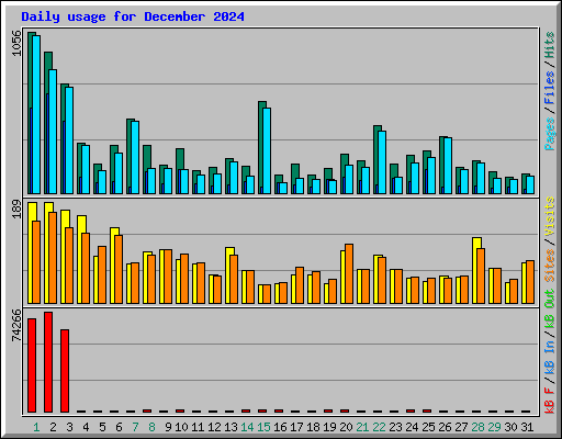 Daily usage for December 2024