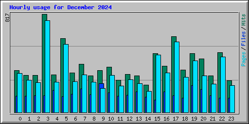 Hourly usage for December 2024