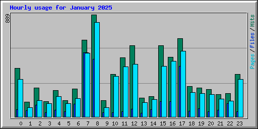 Hourly usage for January 2025