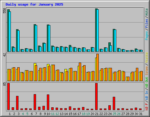 Daily usage for January 2025