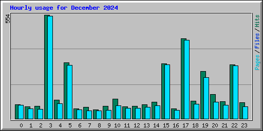 Hourly usage for December 2024