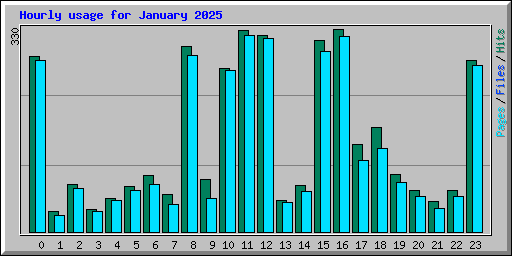 Hourly usage for January 2025